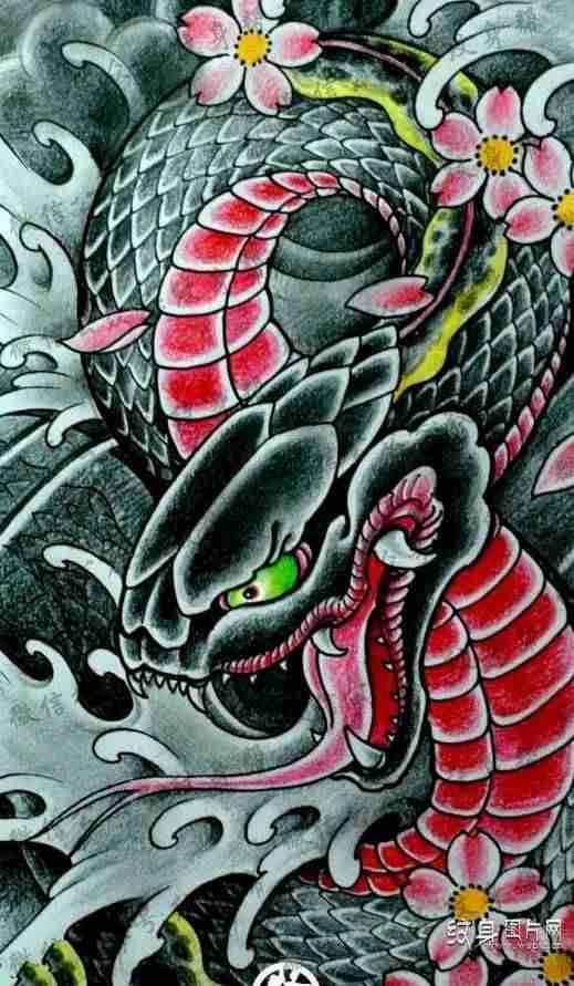 最恐怖的蛇纹身设计 蟒蛇纹身图案及手稿欣赏