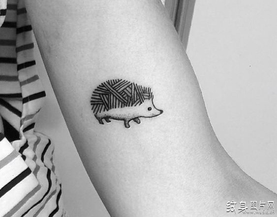 刺猬纹身图案及含义 小动物有大设计