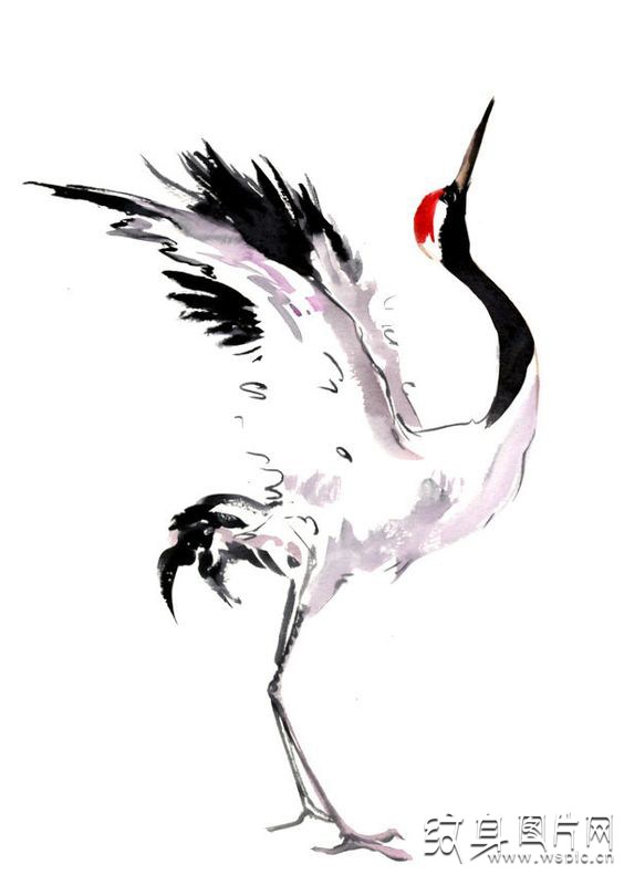 被视为吉祥幸福之鸟 白鹤纹身图案及手稿欣赏