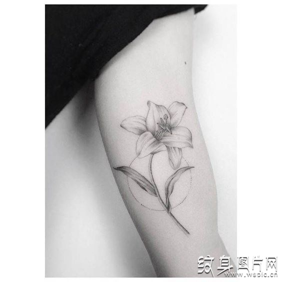 水仙花纹身图案欣赏 令人惊叹的鲜花纹身设计