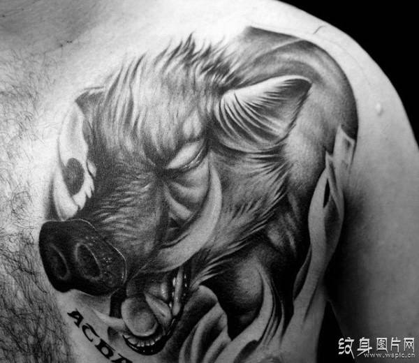 野猪纹身图案欣赏 最具男性野性的设计风格