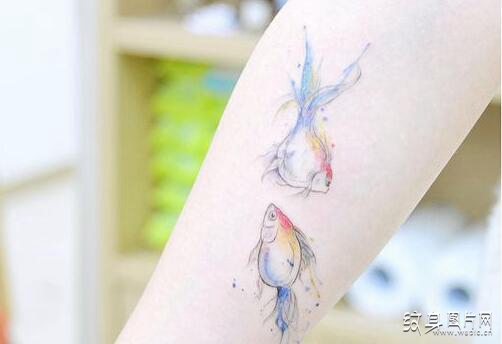 小鱼纹身图案欣赏 最唯美的小图案设计