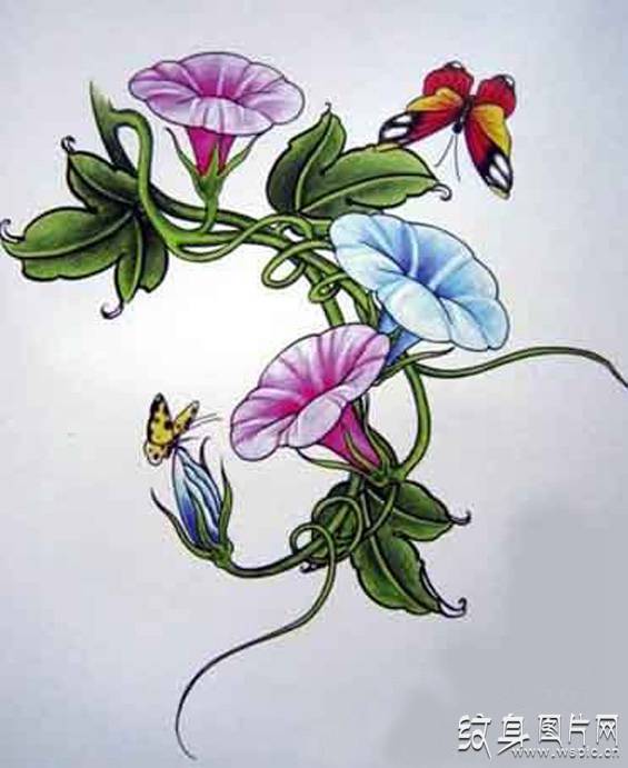 牵牛花纹身及手稿欣赏 最具魅力的鲜花设计