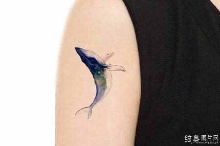 水彩画纹身图案欣赏 让人惊艳的纹身技巧