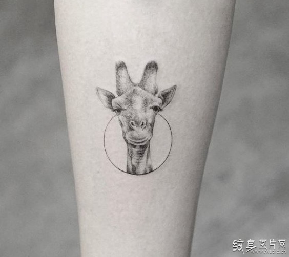 长颈鹿纹身图案欣赏 简约的设计与寓意