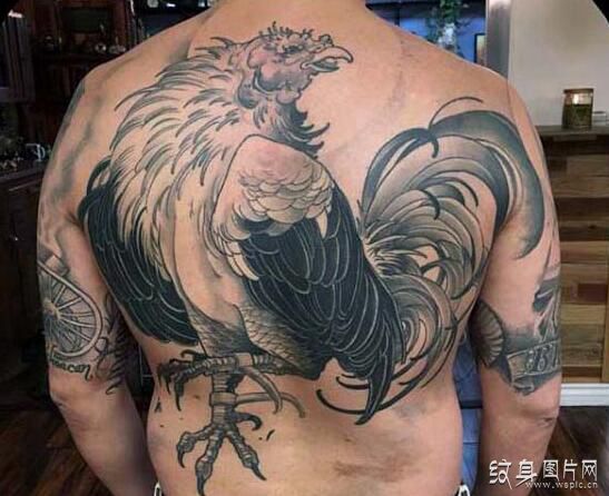大公鸡纹身及手稿欣赏 传统文化中的五德之禽