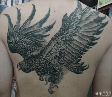 大鹏展翅纹身及手稿 充满寓意的男性纹身设计