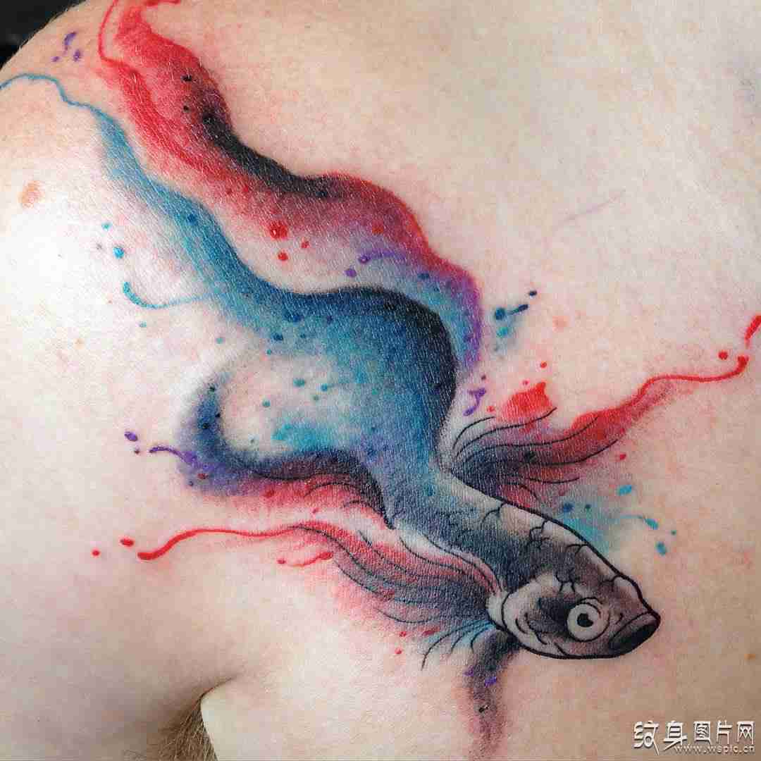 水墨鱼纹身图案及手稿 中国传统艺术的精妙结合