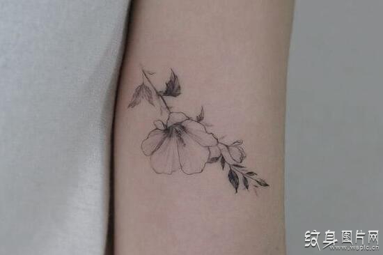 玉兰花纹身图案欣赏 清新可人的纯洁花朵设计