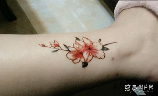 十大传统名花之一 杜鹃花纹身图案及手稿欣赏