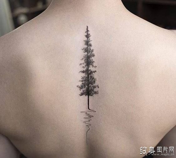 松树纹身图案欣赏 寓意美好的树纹身设计