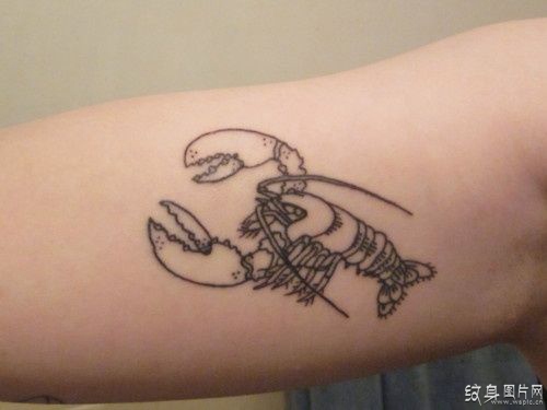 龙虾纹身及手稿欣赏 令人惊讶的纹身设计