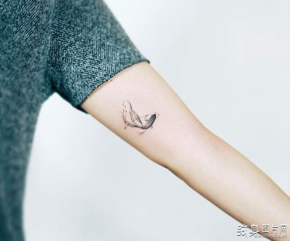 双鱼座纹身图案欣赏 小清新风格的星座纹身设计