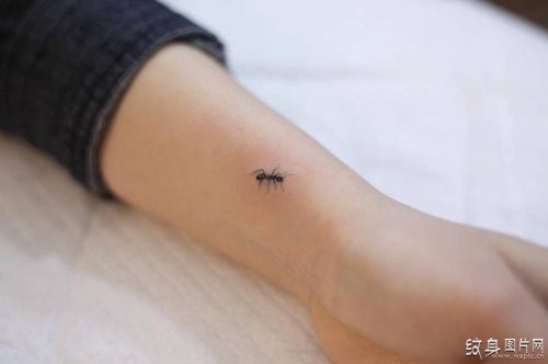 蚂蚁纹身图案及含义 小身体却有大力量
