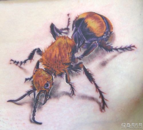 蚂蚁纹身图案及含义 小身体却有大力量