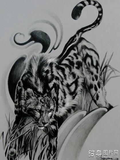下山豹纹身图案及手稿 迅捷凶猛的丛林猎手
