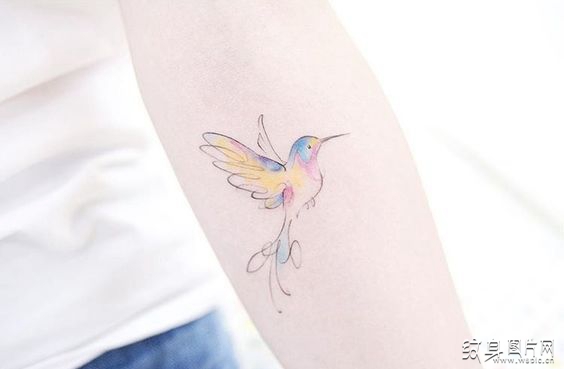 蜂鸟纹身图案和含义 神秘古老的飞鸟纹身设计