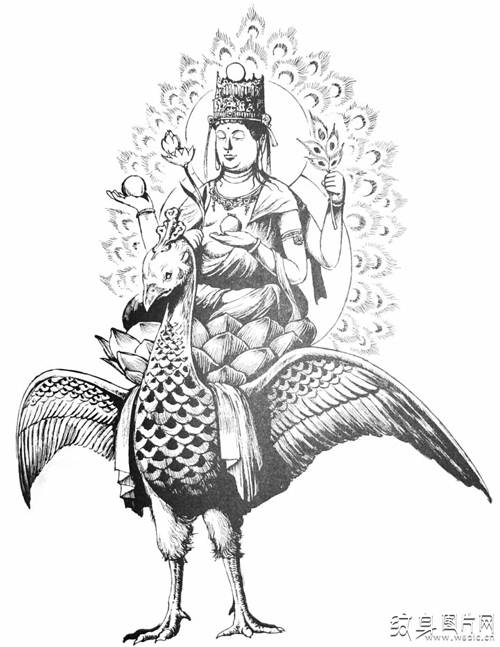 孔雀大明王纹身及手稿 五大护世金刚佛母之一