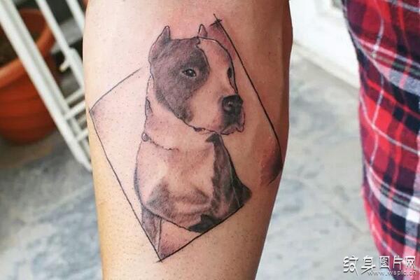 比特犬纹身图案欣赏 凶猛又护主的猛犬