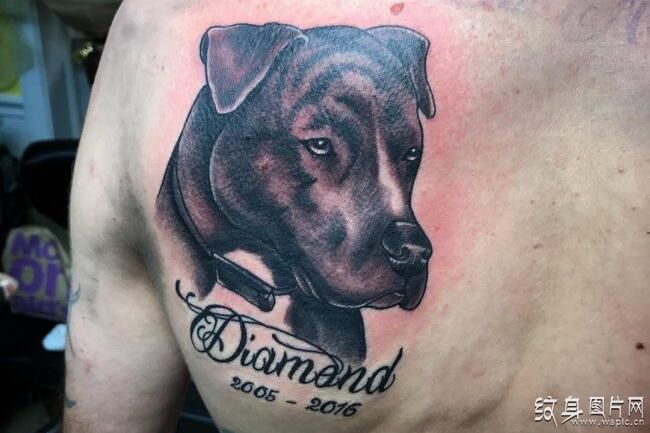比特犬纹身图案欣赏 凶猛又护主的猛犬