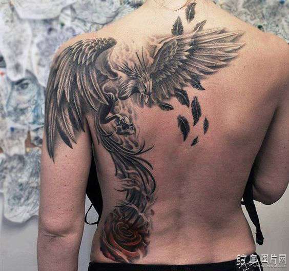 不死鸟纹身图案及含义 欧美神话传说中的火凤凰