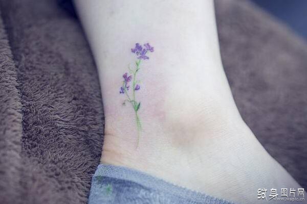 紫藤花纹身及含义 可爱迷人的小清新设计