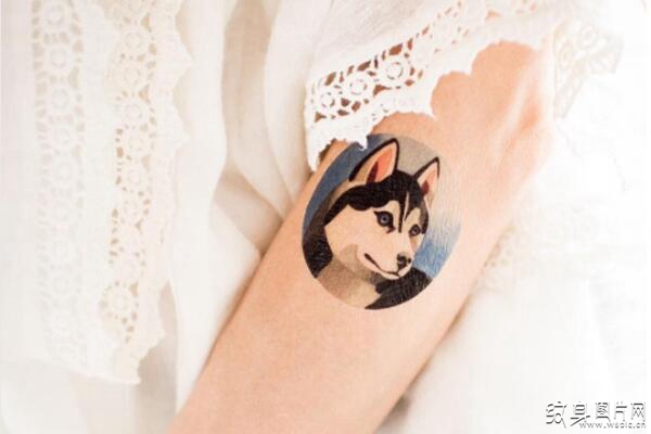 哈士奇纹身图案 可爱的动物纹身设计