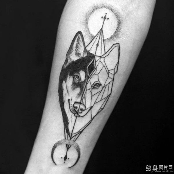 哈士奇纹身图案 可爱的动物纹身设计