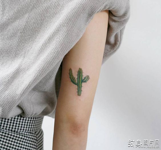 仙人掌纹身图案及意义 可爱的小清新风格设计