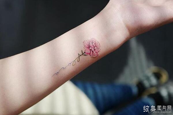 康乃馨纹身图案及手稿 温馨情感的象征之花