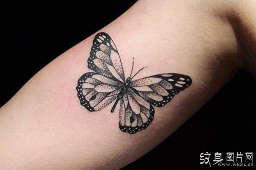 蝴蝶纹身图案及含义 自我个性的完美展现