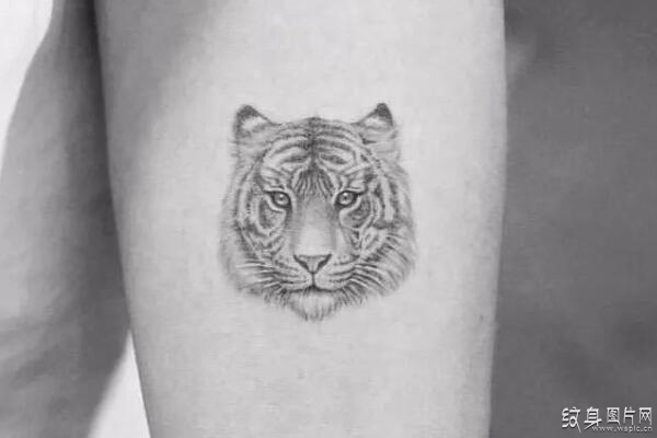 动物纹身图案及含义 简洁又好看的美妙设计