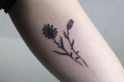 雏菊纹身图案欣赏，最美的女人之花