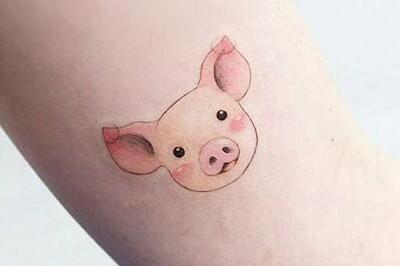 小猪纹身图案欣赏 2018流行卡通纹身设计