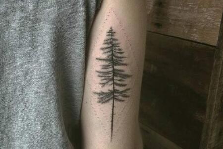 松树纹身图案欣赏 寓意美好的树纹身设计