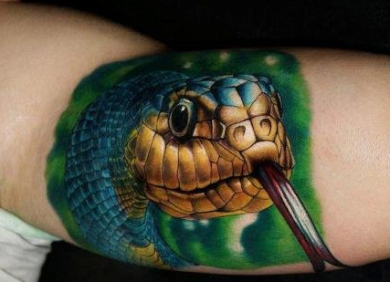手臂彩色蛇纹身