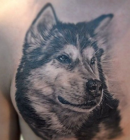 动物图案纹身
