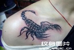 蝎子纹身图案有什么意义