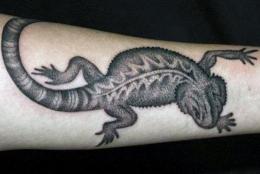 蜥蜴纹身图案欣赏及寓意 偏门的吉祥之物
