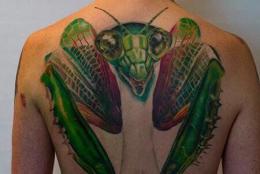 螳螂纹身图案大全，动物界的飞天侠客