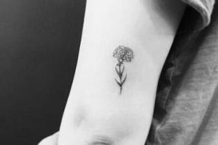 康乃馨纹身图案及手稿 温馨情感的象征之花