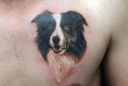 牧羊犬纹身图案欣赏 聪明温顺的人类伙伴