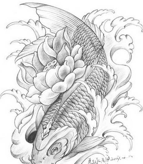 鲤鱼纹身手稿