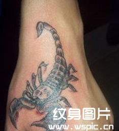 蝎子纹身图案