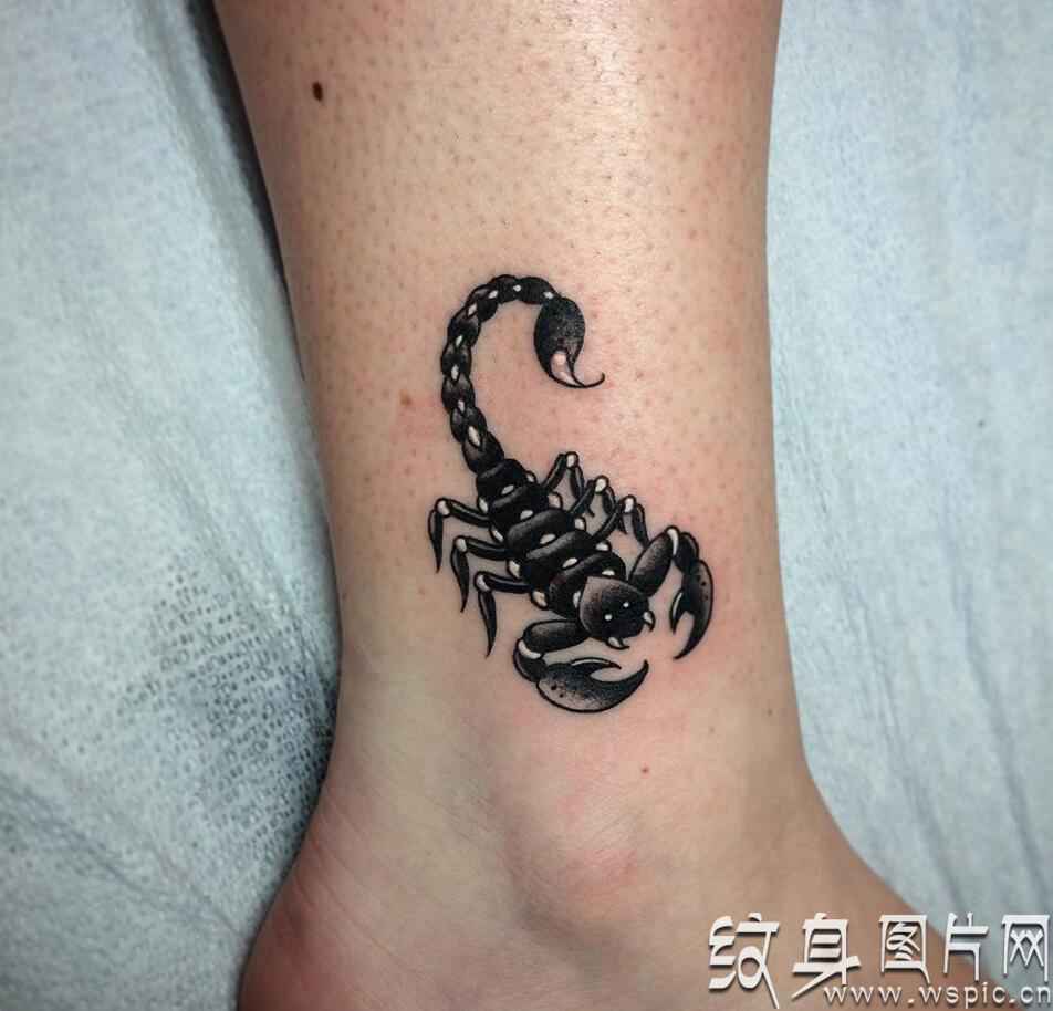 蝎子纹身图案欣赏，身体不同部位的蝎子纹身