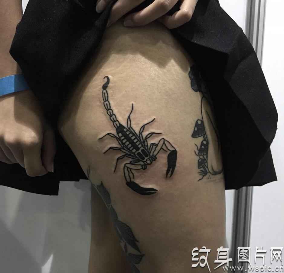 蝎子纹身图案欣赏，身体不同部位的蝎子纹身