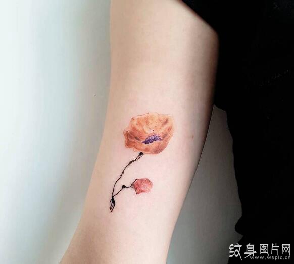 罂粟花纹身图案欣赏，死亡和美丽的双重象征