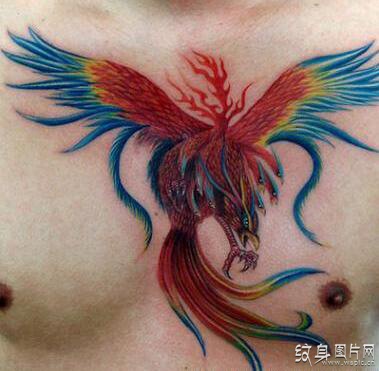朱雀纹身图案欣赏，出自星宿的四象之一