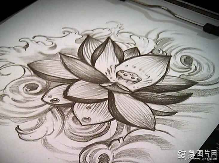 荷花纹身手稿欣赏，顶级绘画大师经典之作