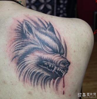 滴血狼头纹身图案欣赏，男性纹身的必选图案